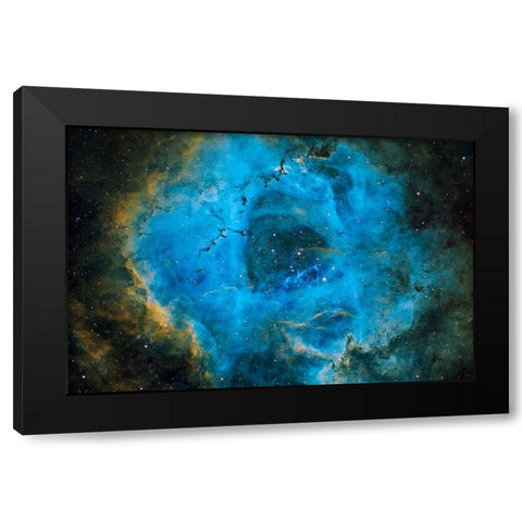 Rosette Black Modern Wood Framed Art Print by Chander, Vikas