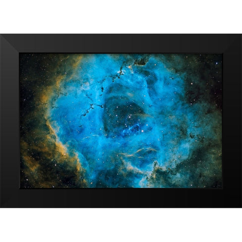 Rosette Black Modern Wood Framed Art Print by Chander, Vikas
