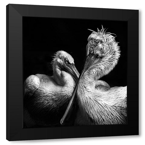 Crisscross Black Modern Wood Framed Art Print with Double Matting by Singh, Anita