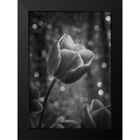 Greta Garbo Black Modern Wood Framed Art Print by Irene Sattrup, Dorte
