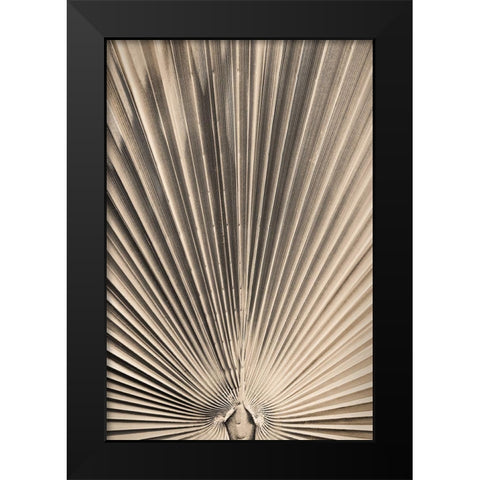 Solaris 07 Black Modern Wood Framed Art Print by 1x Studio III