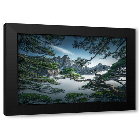 Strange Pine Tree In Yellow Mountain Black Modern Wood Framed Art Print with Double Matting by Ye, Ningyun