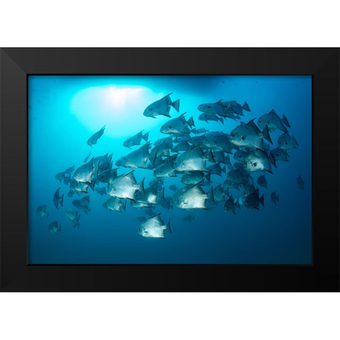 School Time Black Modern Wood Framed Art Print by Y Lin, Ryan