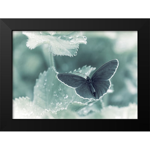 Spots A Drops Black Modern Wood Framed Art Print by Williams, Stuart