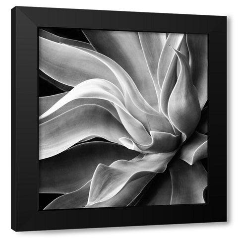Agave Abstract, Summer 2022 Black Modern Wood Framed Art Print with Double Matting by Wechsler, Robin