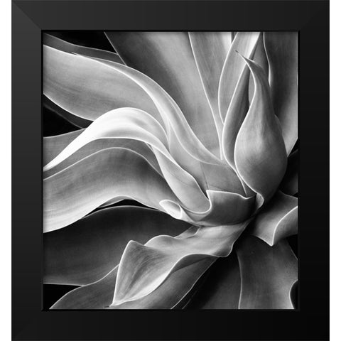 Agave Abstract, Summer 2022 Black Modern Wood Framed Art Print by Wechsler, Robin