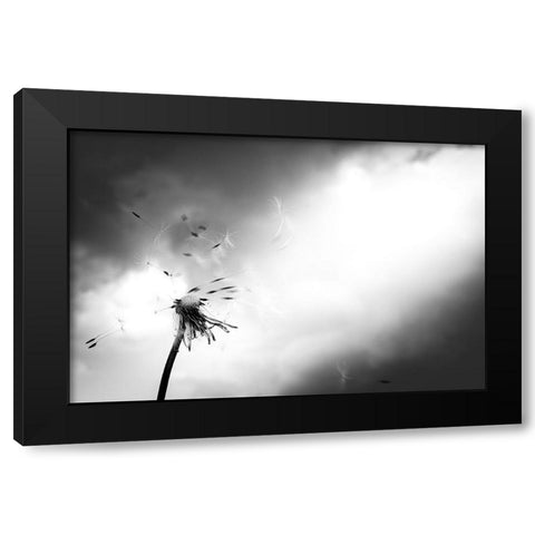 Breath of life Black Modern Wood Framed Art Print by Goto, Satoru