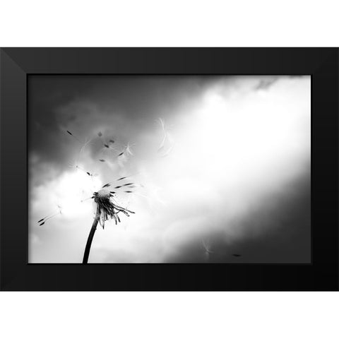 Breath of life Black Modern Wood Framed Art Print by Goto, Satoru