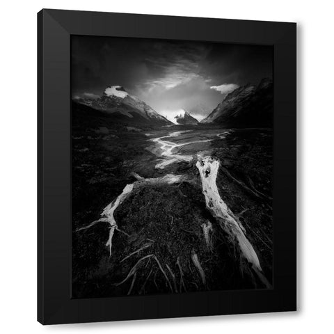 The Wild Black Modern Wood Framed Art Print with Double Matting by Li, Bing