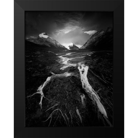 The Wild Black Modern Wood Framed Art Print by Li, Bing