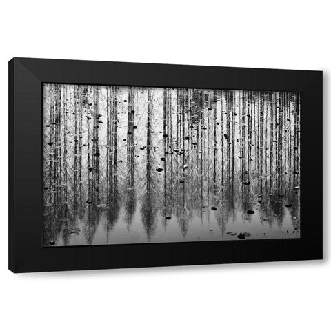 tall reflection Black Modern Wood Framed Art Print by Kim, Youngil