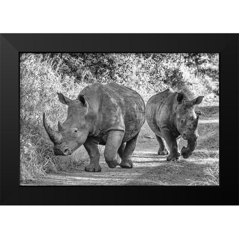 The Two Rhinos - Wildlife III Black Modern Wood Framed Art Print by Richter, Regine