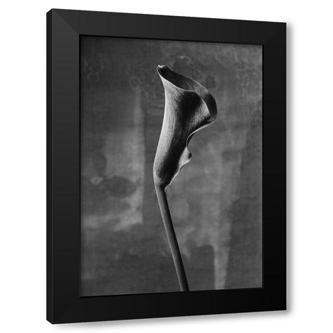 Flower_3 Black Modern Wood Framed Art Print by Mori, Kenji
