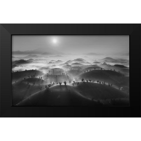 New Day In Long Coc Tea Hill Black Modern Wood Framed Art Print by Tan Tuan, Nguyen