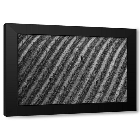 Vineyard Black Modern Wood Framed Art Print with Double Matting by Mao, Yun