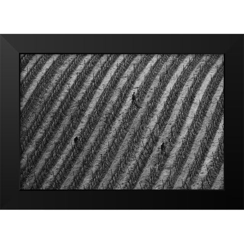 Vineyard Black Modern Wood Framed Art Print by Mao, Yun