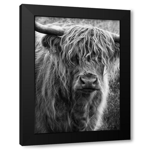 Highland cattle Black Modern Wood Framed Art Print with Double Matting by Gronkjar, Lotte