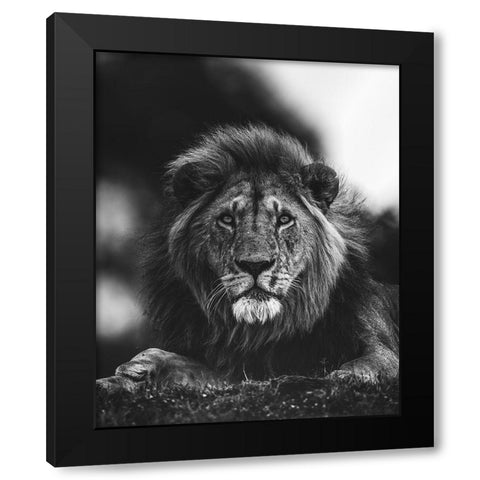 Ready Black Modern Wood Framed Art Print by Sobhi, Ahmed