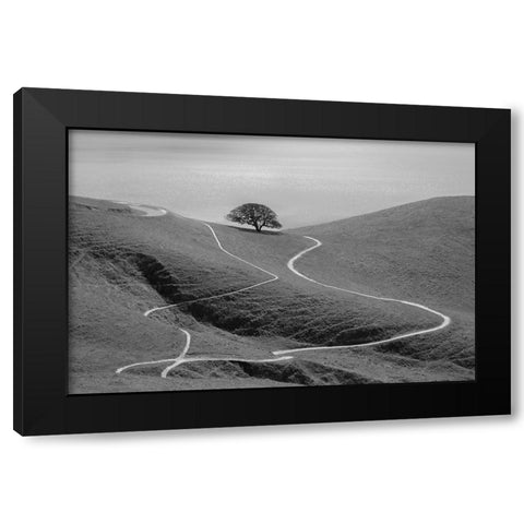 Lonely Tree Black Modern Wood Framed Art Print with Double Matting by Mao, Yun