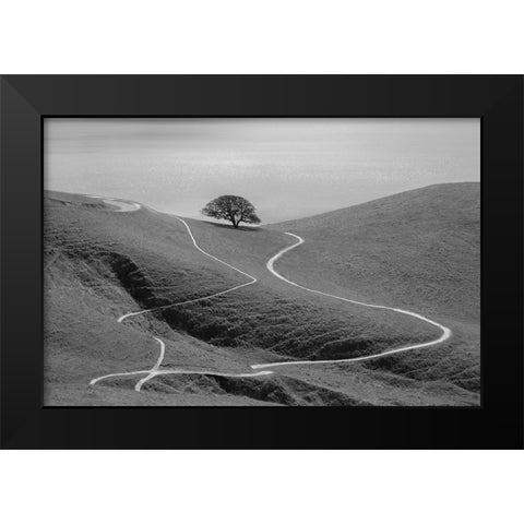 Lonely Tree Black Modern Wood Framed Art Print by Mao, Yun