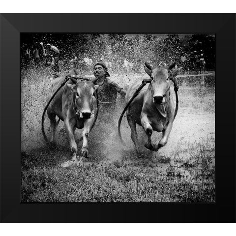 The Bulls Racing Black Modern Wood Framed Art Print by Yuk Kong, John