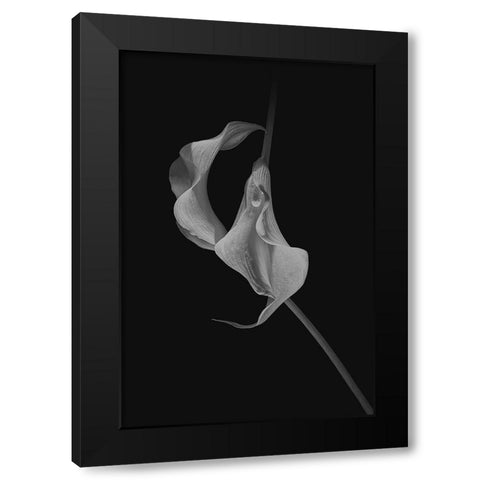 Close Talk Black Modern Wood Framed Art Print by Jacobs, Lydia