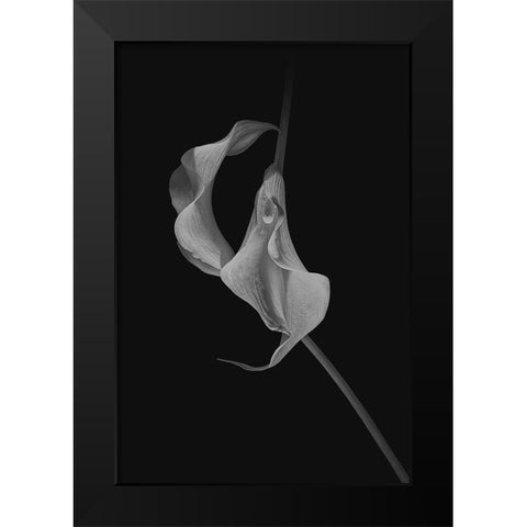 Close Talk Black Modern Wood Framed Art Print by Jacobs, Lydia