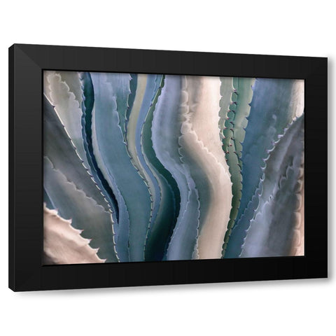 Sonoma Summertime Roadside Abstract Black Modern Wood Framed Art Print by Wechsler, Robin