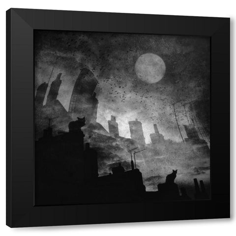 Black A White Cat Day... Black Modern Wood Framed Art Print with Double Matting by Fabrowski, Robert