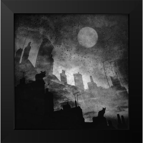 Black A White Cat Day... Black Modern Wood Framed Art Print by Fabrowski, Robert