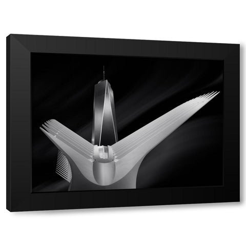 Flying In Oculus Black Modern Wood Framed Art Print with Double Matting by Garcia, Helena