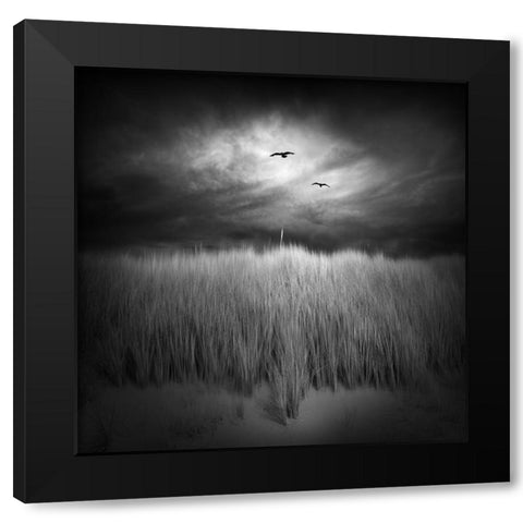 Marram Grass Black Modern Wood Framed Art Print with Double Matting by Winkler, Jens