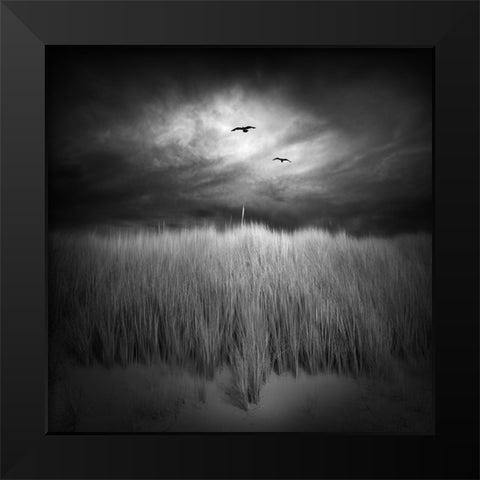 Marram Grass Black Modern Wood Framed Art Print by Winkler, Jens