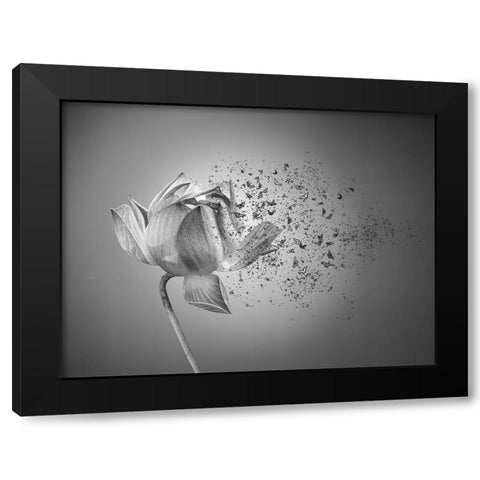 Flower Black Modern Wood Framed Art Print with Double Matting by Lin, Lin