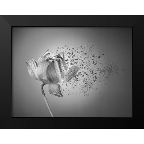 Flower Black Modern Wood Framed Art Print by Lin, Lin