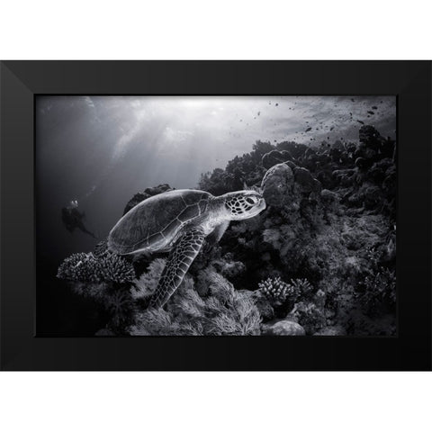 Green Turtle In Black And White Black Modern Wood Framed Art Print by Gabriel, Barathieu