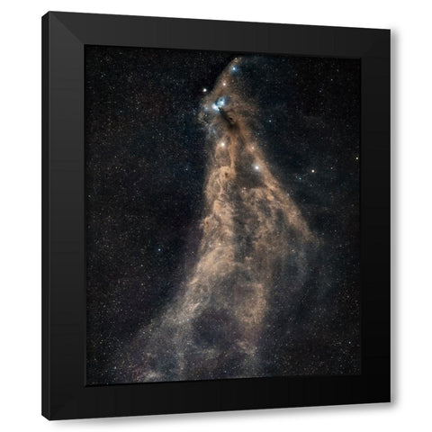 Southern Crown Black Modern Wood Framed Art Print by Chander, Vikas