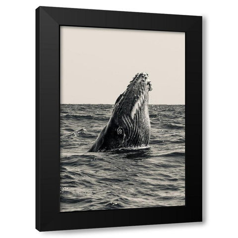 Secret Of Whale Black Modern Wood Framed Art Print by Melesan, Serge