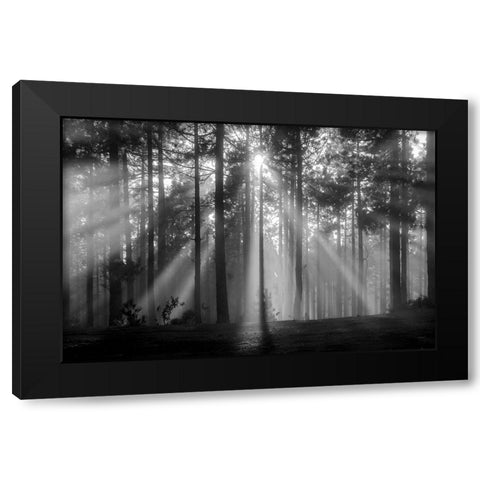 Light In The Snow Black Modern Wood Framed Art Print with Double Matting by Alviani, Montserrat