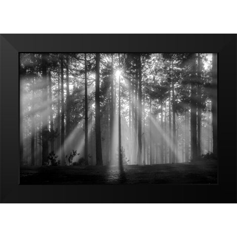 Light In The Snow Black Modern Wood Framed Art Print by Alviani, Montserrat