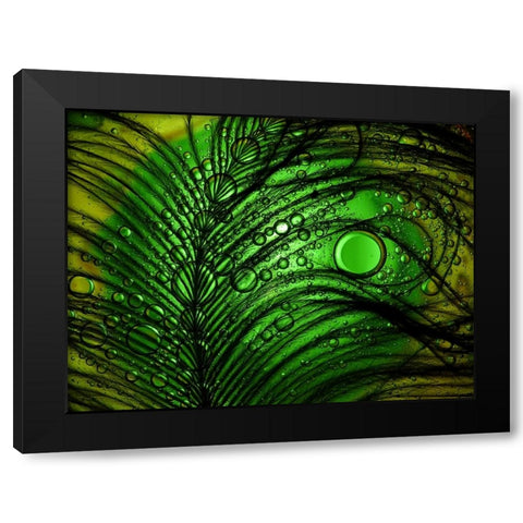 Feather Abstract Black Modern Wood Framed Art Print with Double Matting by Lesica, Ivan
