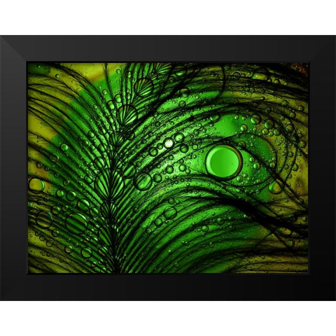 Feather Abstract Black Modern Wood Framed Art Print by Lesica, Ivan