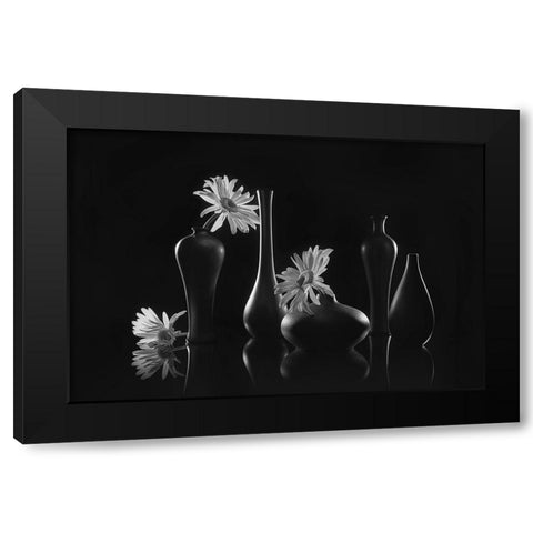 Daisy Melody Black Modern Wood Framed Art Print by Jacobs, Lydia