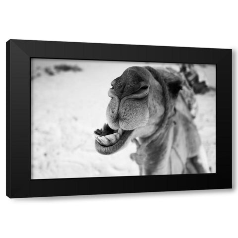 dromedary Black Modern Wood Framed Art Print by Borges Alves, Luis