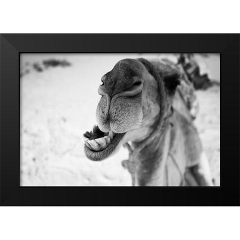 dromedary Black Modern Wood Framed Art Print by Borges Alves, Luis