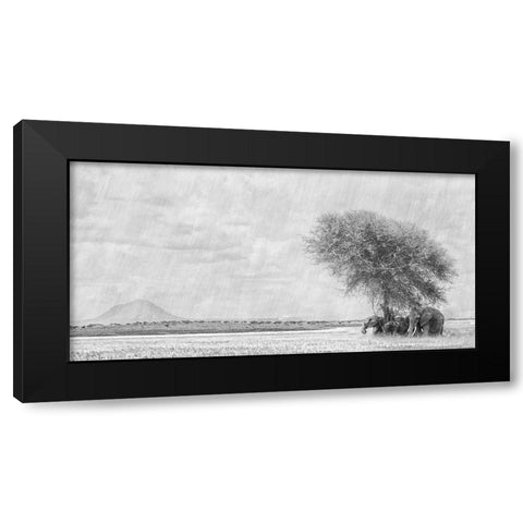 African Landscape Black Modern Wood Framed Art Print with Double Matting by Henley, Nadine