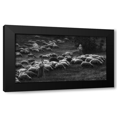 Bergers Black Modern Wood Framed Art Print with Double Matting by Arabzadeh, Abbas