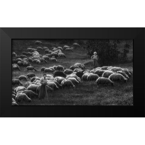 Bergers Black Modern Wood Framed Art Print by Arabzadeh, Abbas
