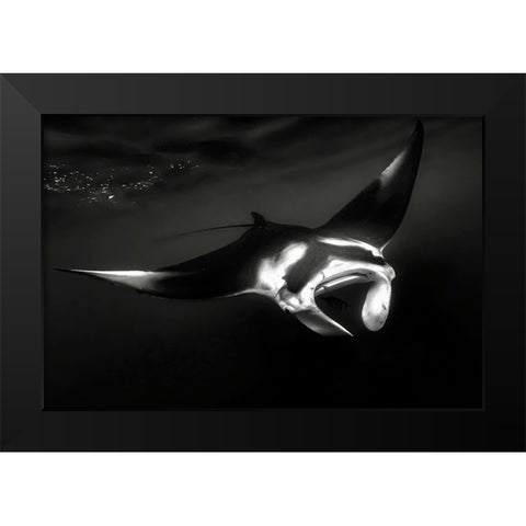 The Manta Black Modern Wood Framed Art Print by Melesan, Serge