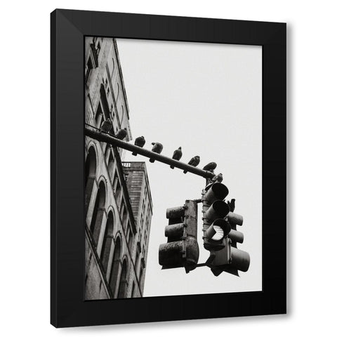 New York City Doves Black Modern Wood Framed Art Print with Double Matting by Martin, Rikard